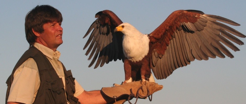 Sanctuary Pietermaritzburg Bird African Of Prey Sanctuary Pietermaritzburg Bird African Of Prey